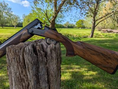 Gun Image 1