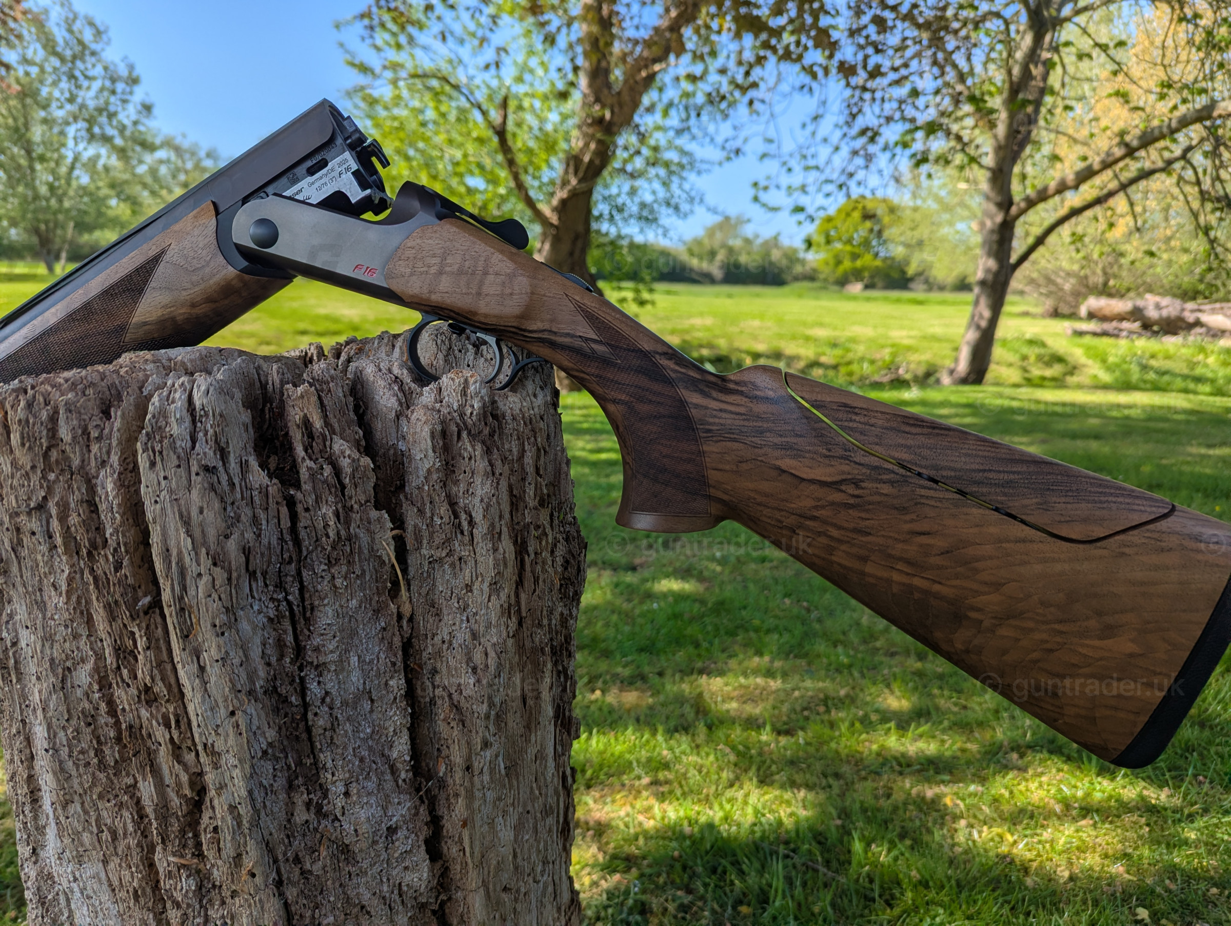 Photo of this gun
