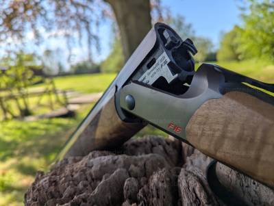 Gun Image 3