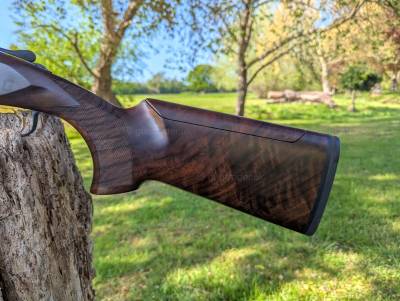 Gun Image 1