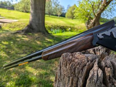 Gun Image 5