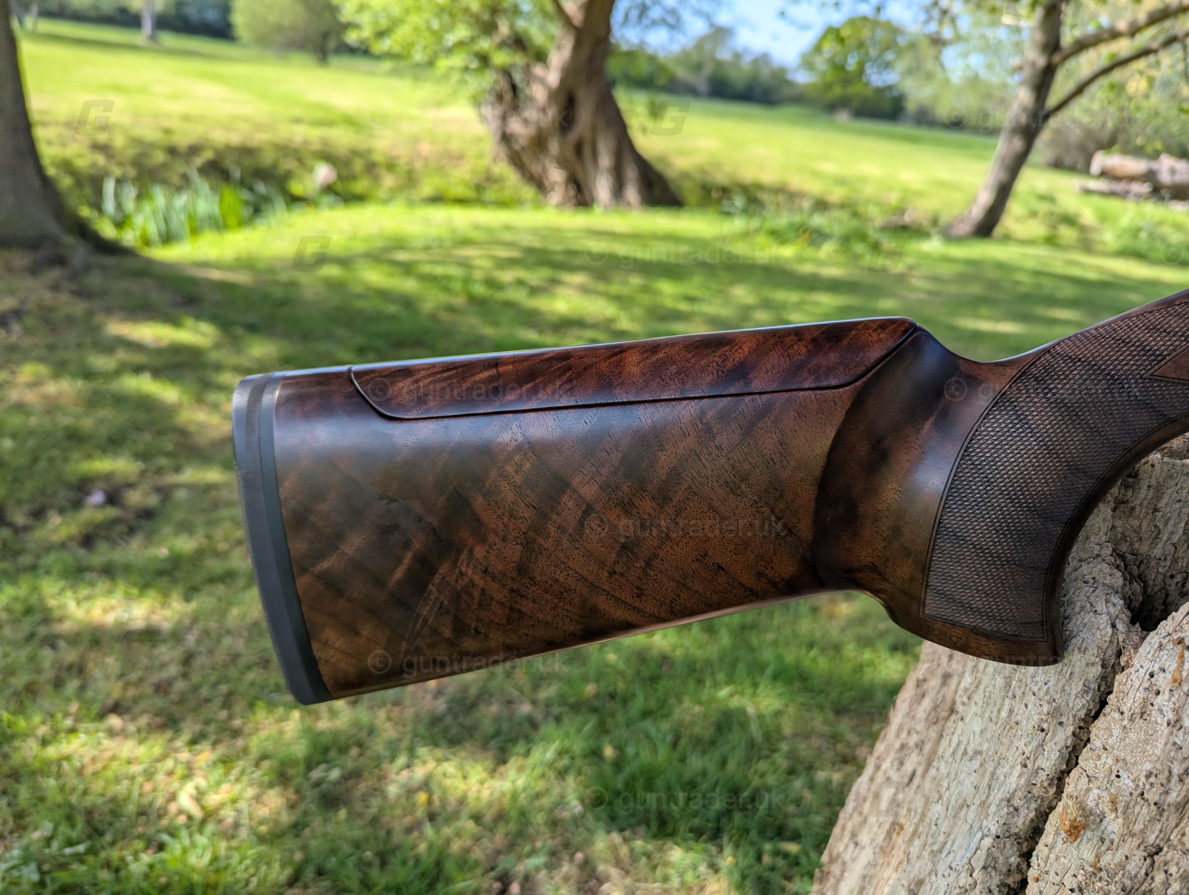 Photo of this gun