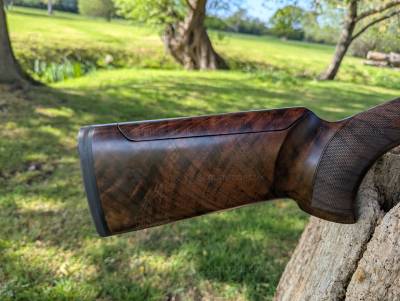 Gun Image 3