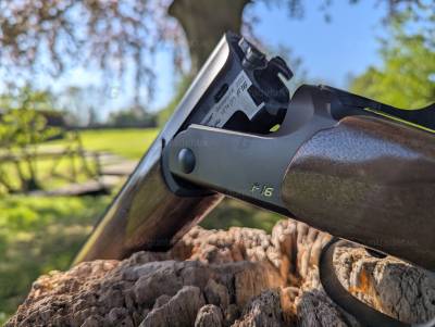 Gun Image 2