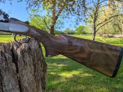 Gun Image 1