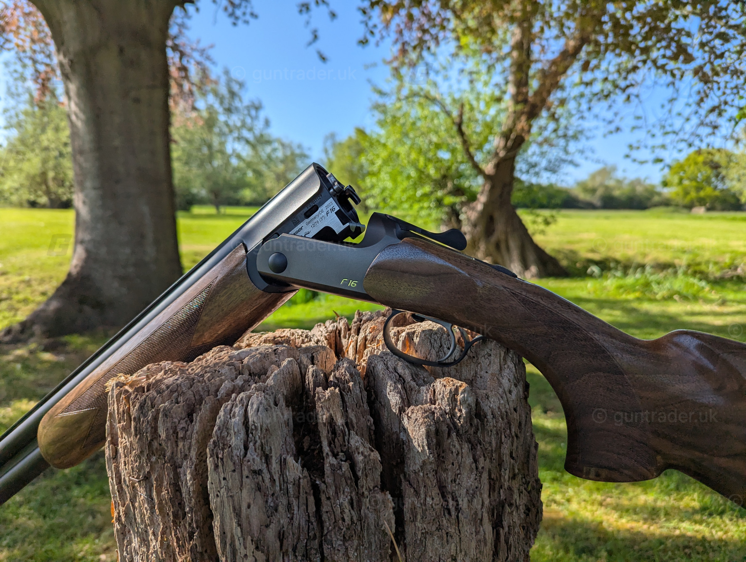 Photo of this gun
