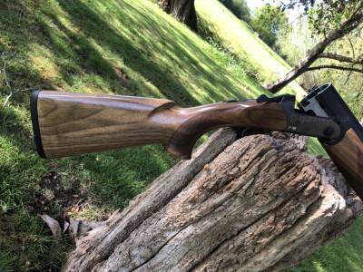 Gun Image 1