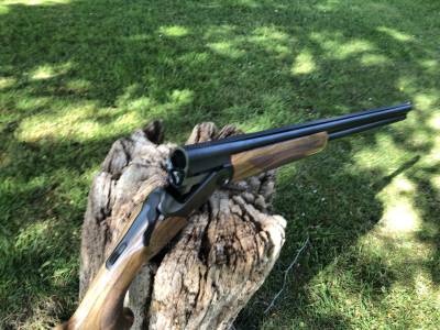 Gun Image 4