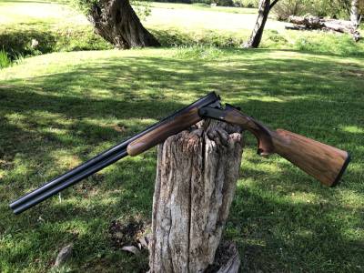 Gun Image 6