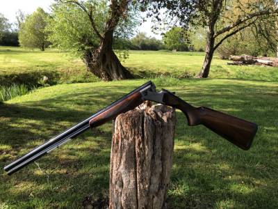 Gun Image 3