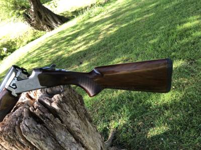 Gun Image 4