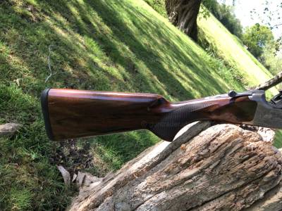 Gun Image 5