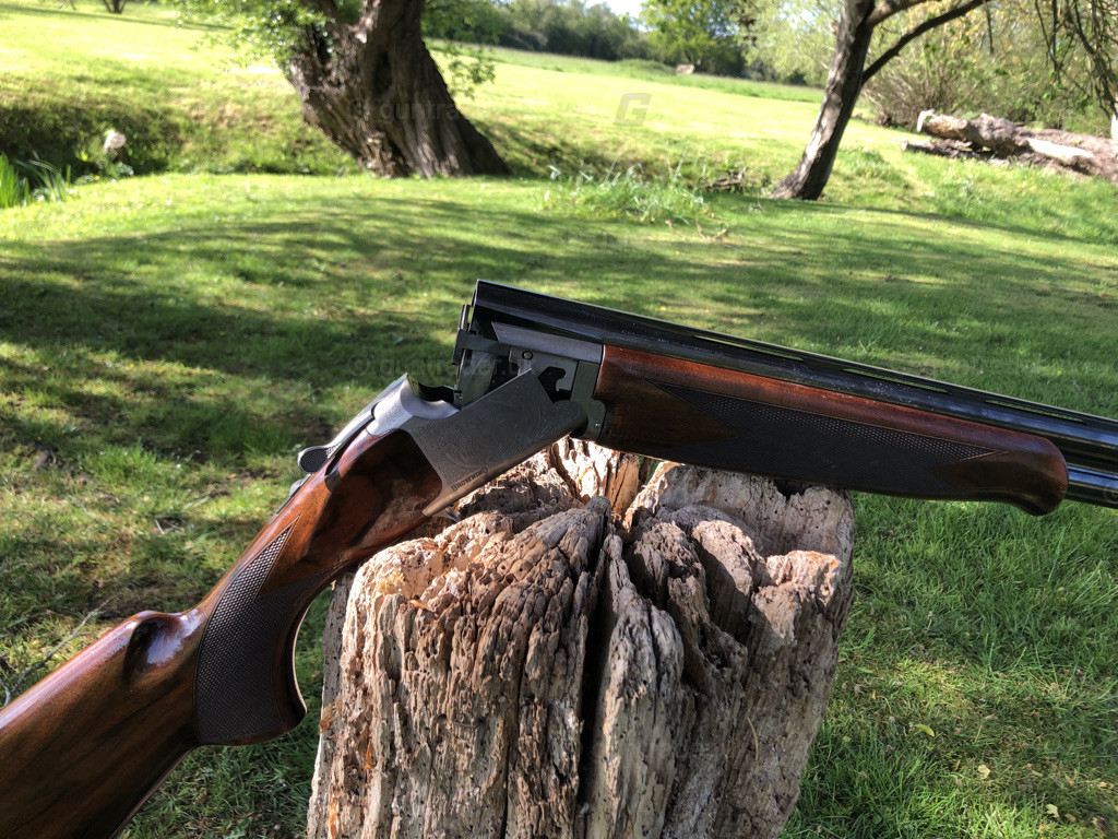 Photo of this gun