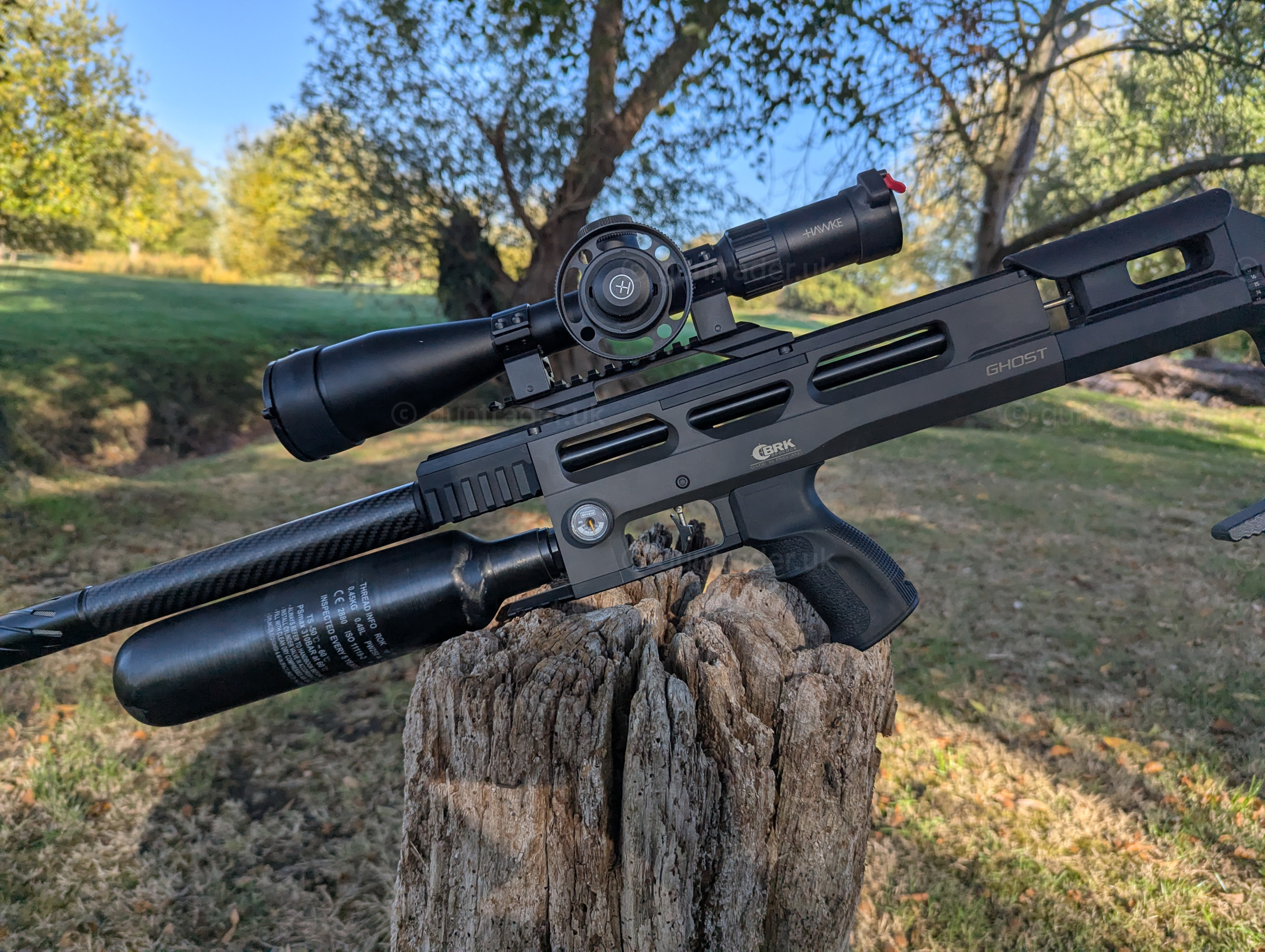 Photo of this gun