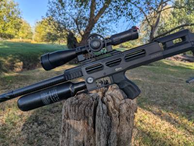 Gun Image 3