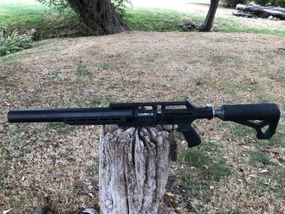 Gun Image 4