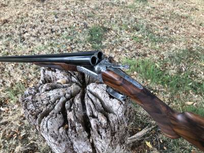 Gun Image 6