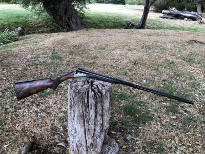 Gun Image 4