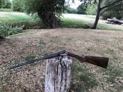 Gun Image 7