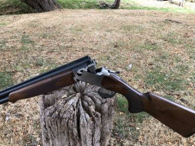 Gun Image 6