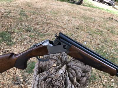 Gun Image 1