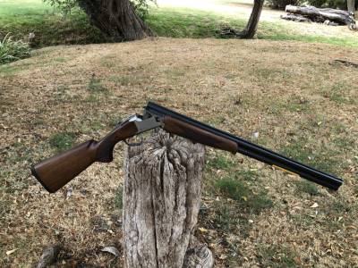 Gun Image 4