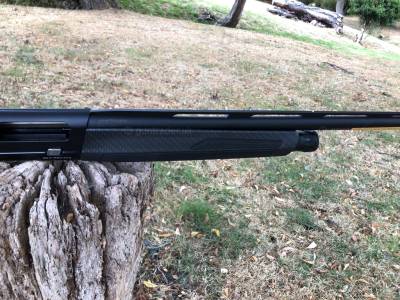 Gun Image 1
