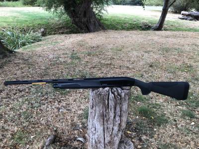 Gun Image 7