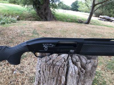 Gun Image 2