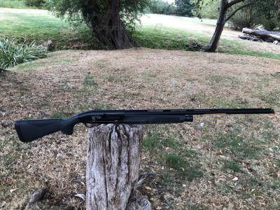 Gun Image 5