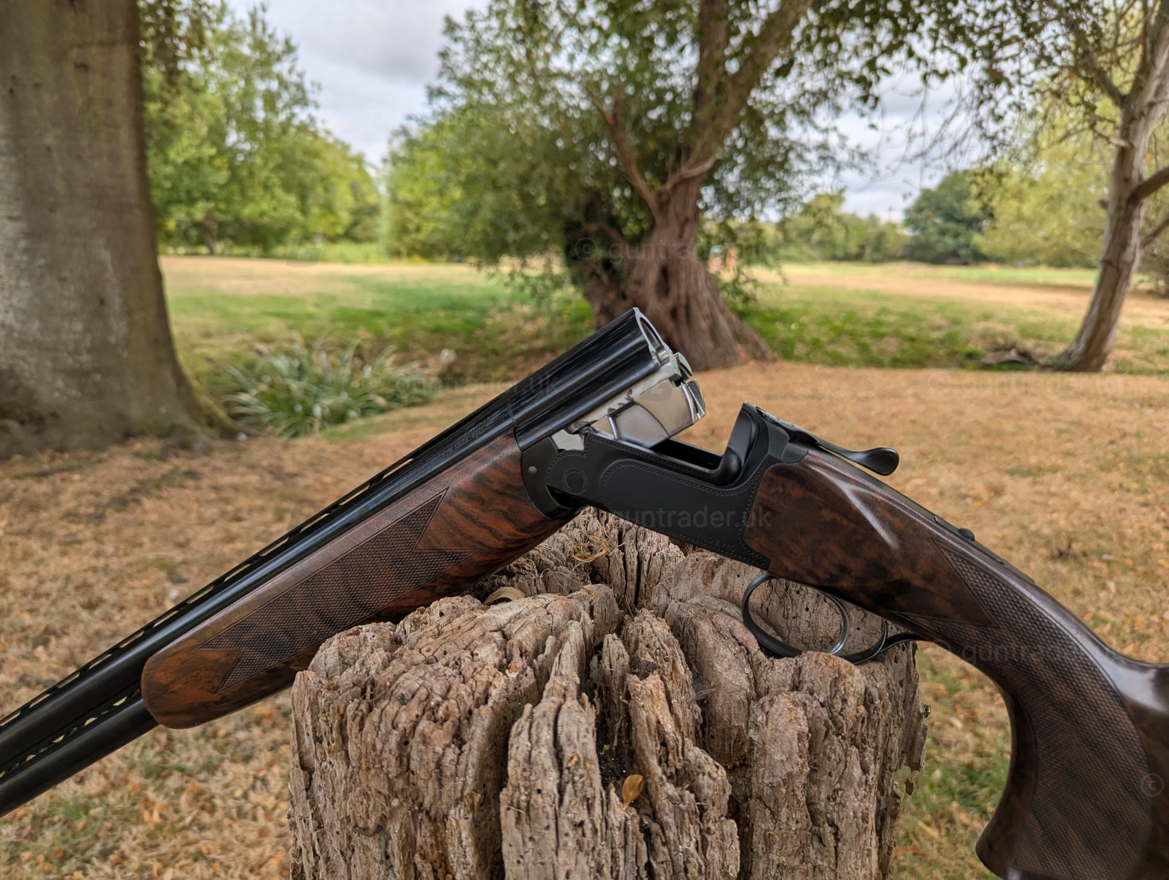 Photo of this gun