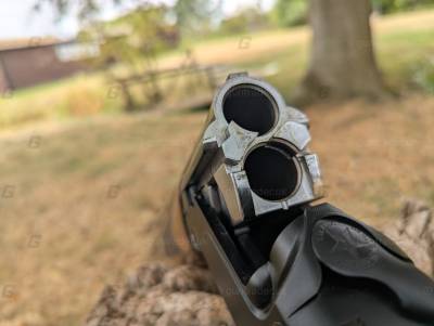 Gun Image 1