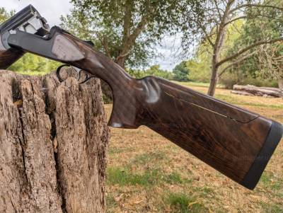 Gun Image 5