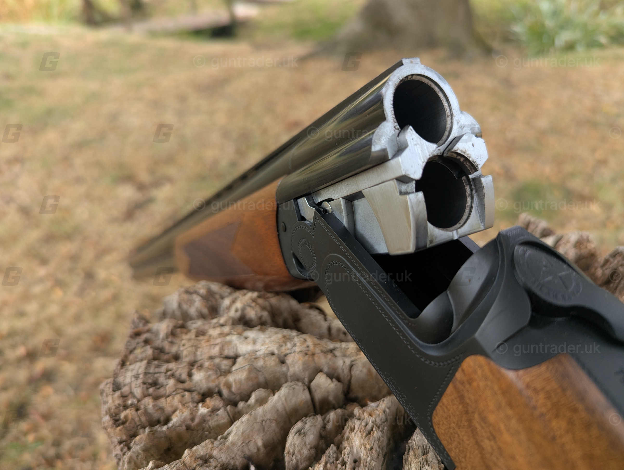 Photo of this gun