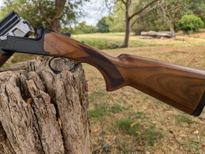 Gun Image 2