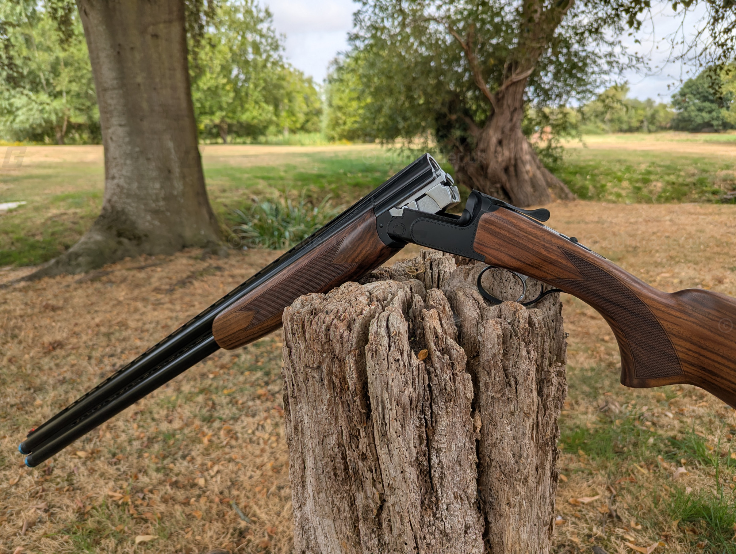 Photo of this gun