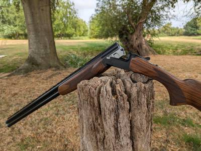 Gun Image 2