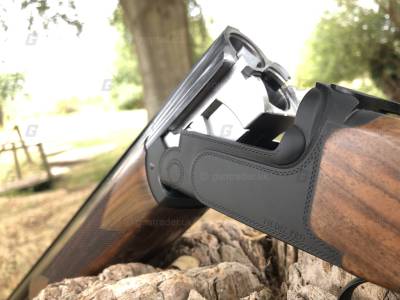 Gun Image 1