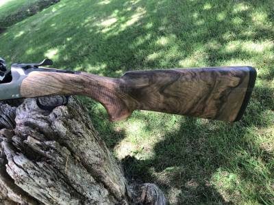 Gun Image 5
