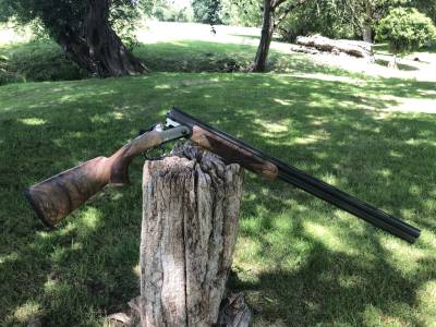 Gun Image 2