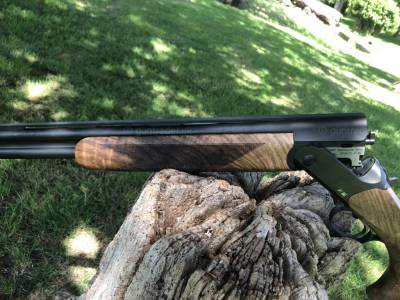 Gun Image 6