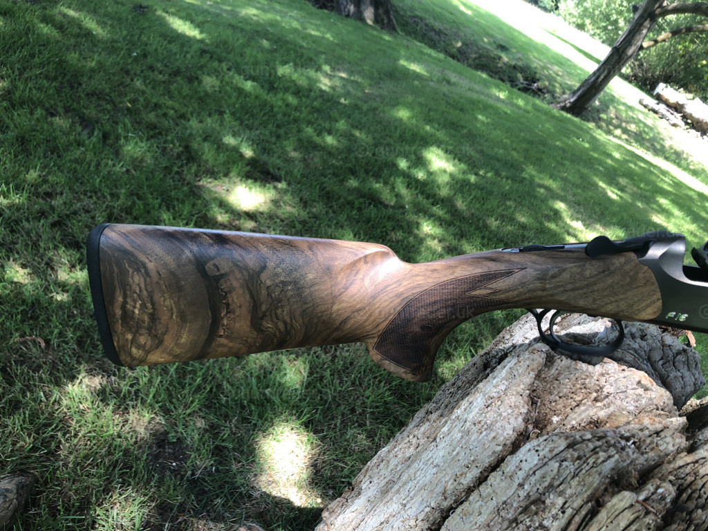 Photo of this gun