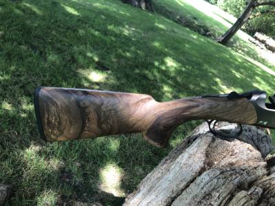 Gun Image 4