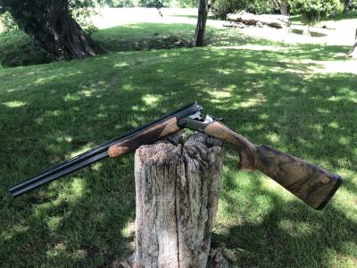 Gun Image 7