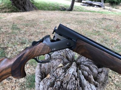 Gun Image 3