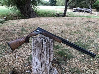 Gun Image 7