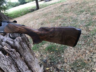 Gun Image 4