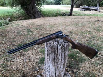 Gun Image 6