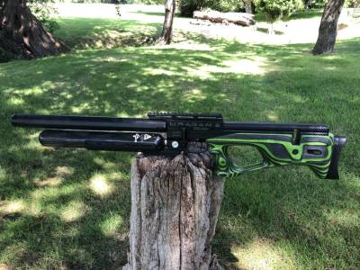 Gun Image 1