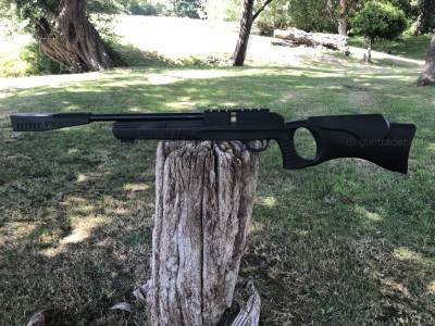 Gun Image 5